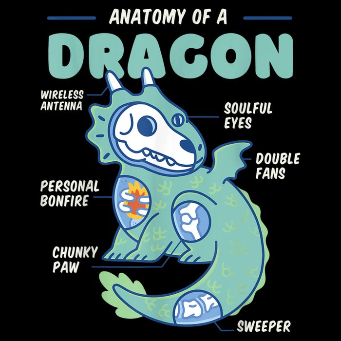 Anatomy Of A Dragon, Funny Dragon Shirt Boys Cooling Performance Crew T-Shirt