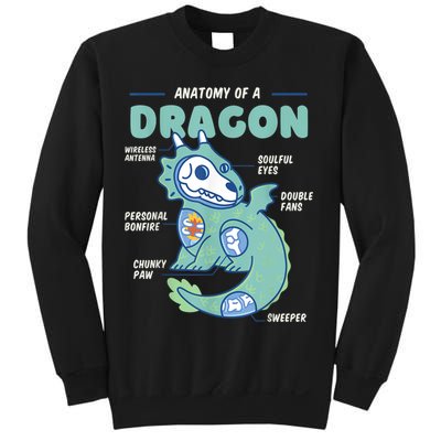 Anatomy Of A Dragon, Funny Dragon Shirt Boys Sweatshirt