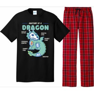 Anatomy Of A Dragon, Funny Dragon Shirt Boys Pajama Set