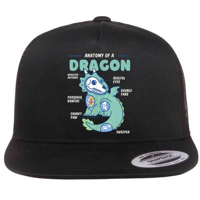 Anatomy Of A Dragon, Funny Dragon Shirt Boys Flat Bill Trucker Hat