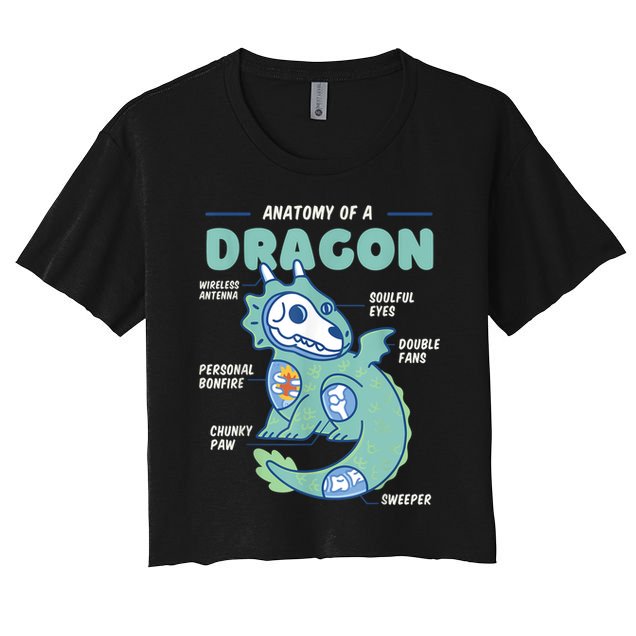 Anatomy Of A Dragon, Funny Dragon Shirt Boys Crop Top
