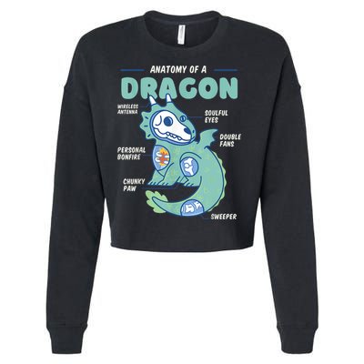 Anatomy Of A Dragon, Funny Dragon Shirt Boys Cropped Pullover Crew
