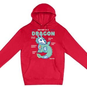 Anatomy Of A Dragon, Funny Dragon Shirt Boys Premium Pullover Hoodie