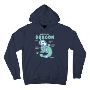 Anatomy Of A Dragon, Funny Dragon Shirt Boys Hoodie