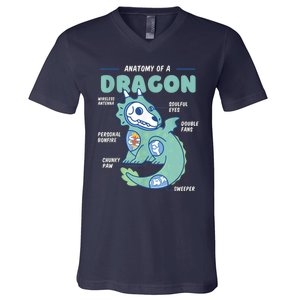 Anatomy Of A Dragon, Funny Dragon Shirt Boys V-Neck T-Shirt