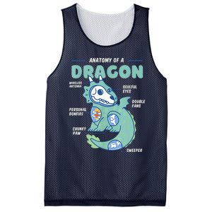 Anatomy Of A Dragon, Funny Dragon Shirt Boys Mesh Reversible Basketball Jersey Tank