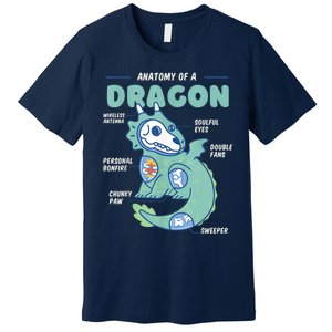 Anatomy Of A Dragon, Funny Dragon Shirt Boys Premium T-Shirt