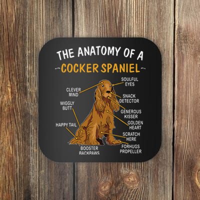 Anatomy Of A Cocker Spaniel For Dog Lovers Coaster