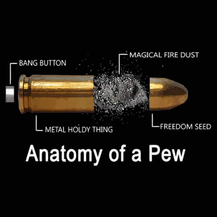 Anatomy Of A Pew Labeled Gift City Backpack