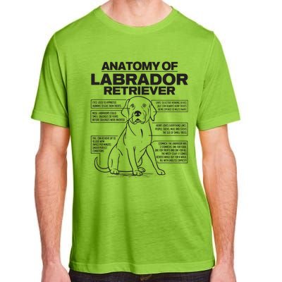 Anatomy Of A Labrador Retriever Funny Dog Owner Gifts Adult ChromaSoft Performance T-Shirt