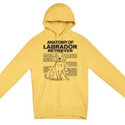 Anatomy Of A Labrador Retriever Funny Dog Owner Gifts Premium Pullover Hoodie