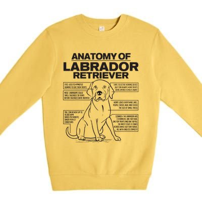 Anatomy Of A Labrador Retriever Funny Dog Owner Gifts Premium Crewneck Sweatshirt