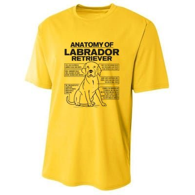 Anatomy Of A Labrador Retriever Funny Dog Owner Gifts Youth Performance Sprint T-Shirt