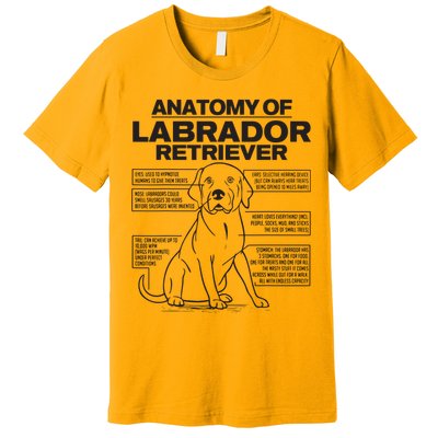 Anatomy Of A Labrador Retriever Funny Dog Owner Gifts Premium T-Shirt