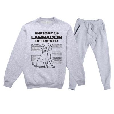 Anatomy Of A Labrador Retriever Funny Dog Owner Gifts Premium Crewneck Sweatsuit Set