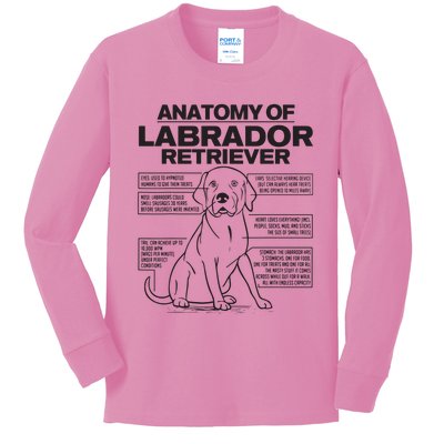 Anatomy Of A Labrador Retriever Funny Dog Owner Gifts Kids Long Sleeve Shirt