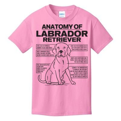 Anatomy Of A Labrador Retriever Funny Dog Owner Gifts Kids T-Shirt