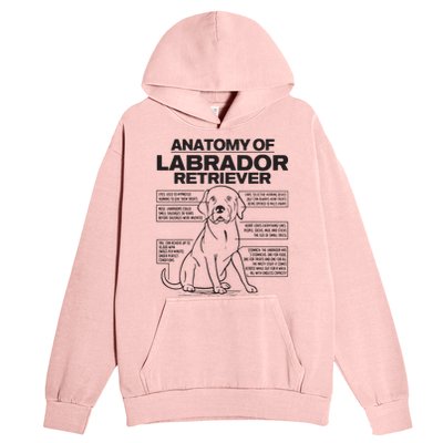 Anatomy Of A Labrador Retriever Funny Dog Owner Gifts Urban Pullover Hoodie