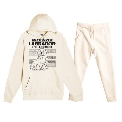 Anatomy Of A Labrador Retriever Funny Dog Owner Gifts Premium Hooded Sweatsuit Set