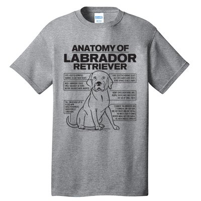 Anatomy Of A Labrador Retriever Funny Dog Owner Gifts Tall T-Shirt