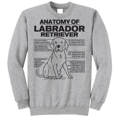 Anatomy Of A Labrador Retriever Funny Dog Owner Gifts Tall Sweatshirt