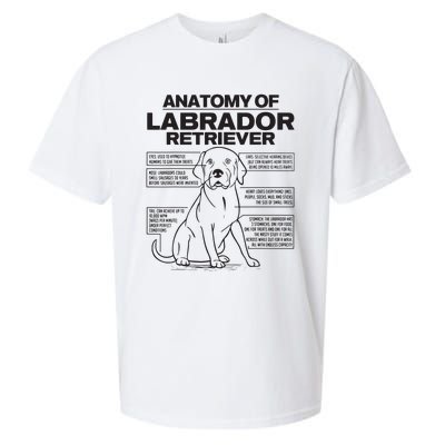 Anatomy Of A Labrador Retriever Funny Dog Owner Gifts Sueded Cloud Jersey T-Shirt