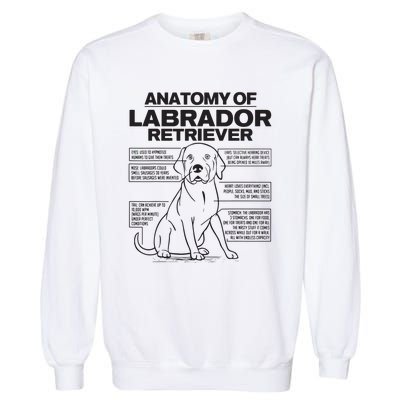 Anatomy Of A Labrador Retriever Funny Dog Owner Gifts Garment-Dyed Sweatshirt