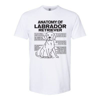 Anatomy Of A Labrador Retriever Funny Dog Owner Gifts Softstyle CVC T-Shirt