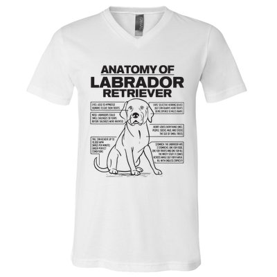 Anatomy Of A Labrador Retriever Funny Dog Owner Gifts V-Neck T-Shirt