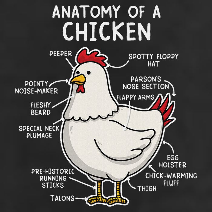 Anatomy Of A Chicken Country Farm Adult Drive Performance Visor