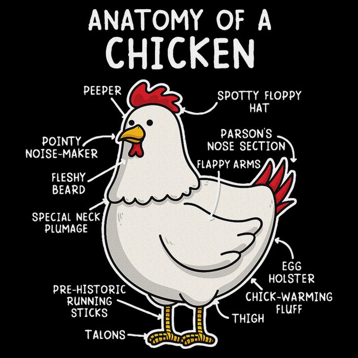Anatomy Of A Chicken Country Farm Flat Bill Trucker Hat