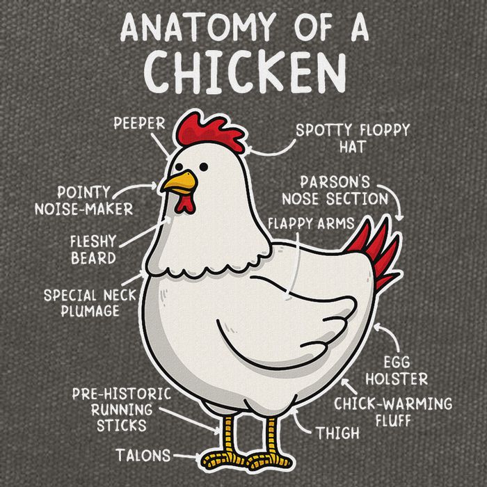 Anatomy Of A Chicken Country Farm Cotton Canvas Backpack