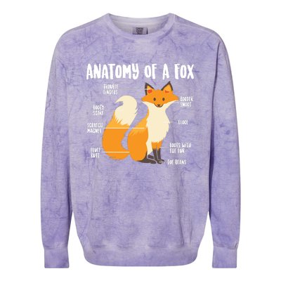 Anatomy Of A Fox | Cute Sweet Carnivore Funny Animal Gift Colorblast Crewneck Sweatshirt