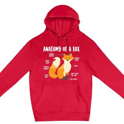 Anatomy Of A Fox | Cute Sweet Carnivore Funny Animal Gift Premium Pullover Hoodie