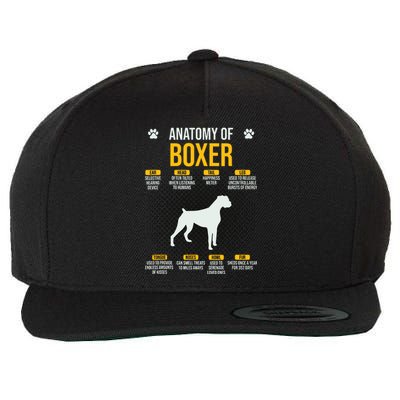 Anatomy Of Boxer Dog Lover Funny Wool Snapback Cap