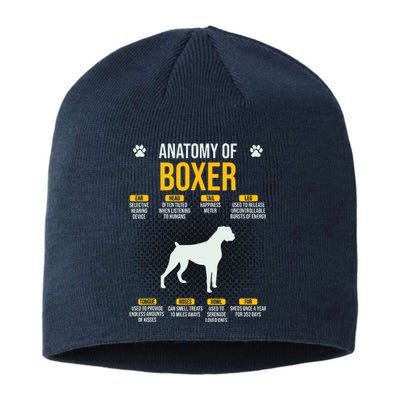 Anatomy Of Boxer Dog Lover Funny Sustainable Beanie