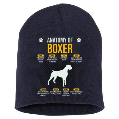 Anatomy Of Boxer Dog Lover Funny Short Acrylic Beanie