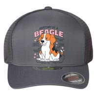 Anatomy Of Beagle Lovers Cool Mom Dog Pet Flexfit Unipanel Trucker Cap