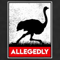 Allegedly Ostrich Co. Allegedly Ostrich Funny Flightless Bird Unisex Black Cool Comfort Performance Bucket Hat