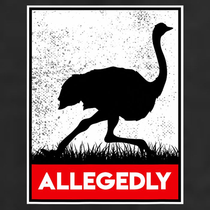 Allegedly Ostrich Co. Allegedly Ostrich Funny Flightless Bird Unisex Black Cool Comfort Performance Bucket Hat