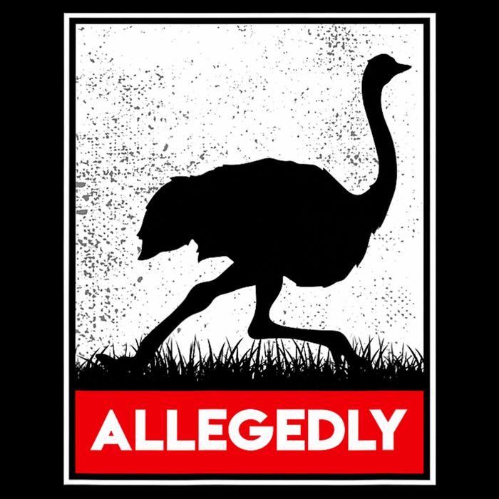 Allegedly Ostrich Co. Allegedly Ostrich Funny Flightless Bird Unisex Black 16 in Basic Backpack