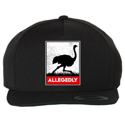 Allegedly Ostrich Co. Allegedly Ostrich Funny Flightless Bird Unisex Black Wool Snapback Cap