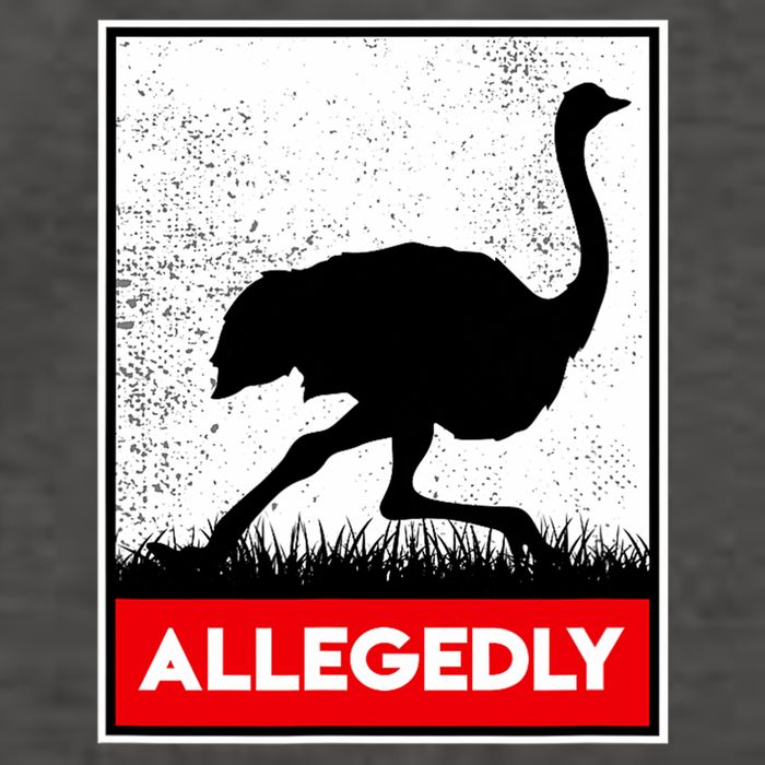Allegedly Ostrich Co. Allegedly Ostrich Funny Flightless Bird Unisex Black Vector Backpack