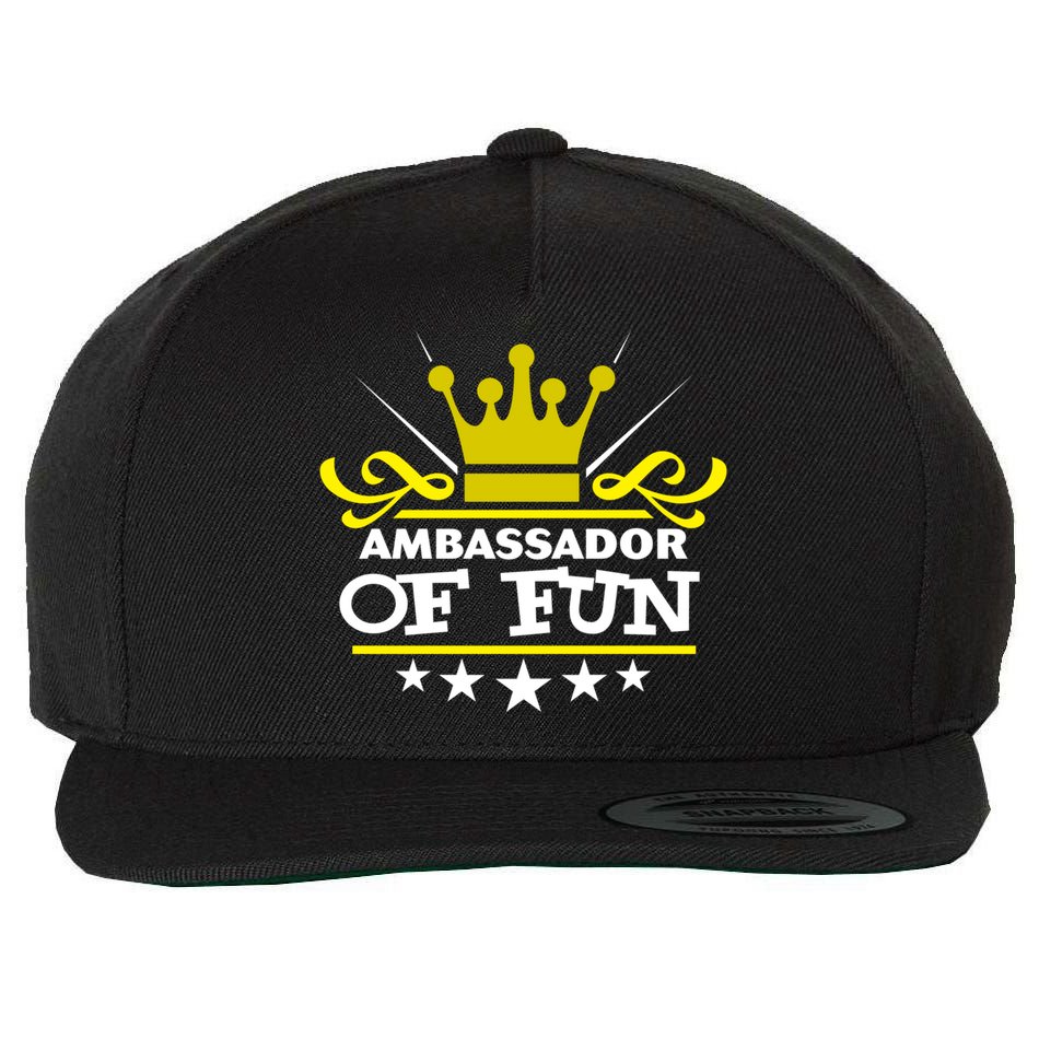 Ambassador Of Fun Funny Saying Costume Party Starter White Funny Gift Wool Snapback Cap