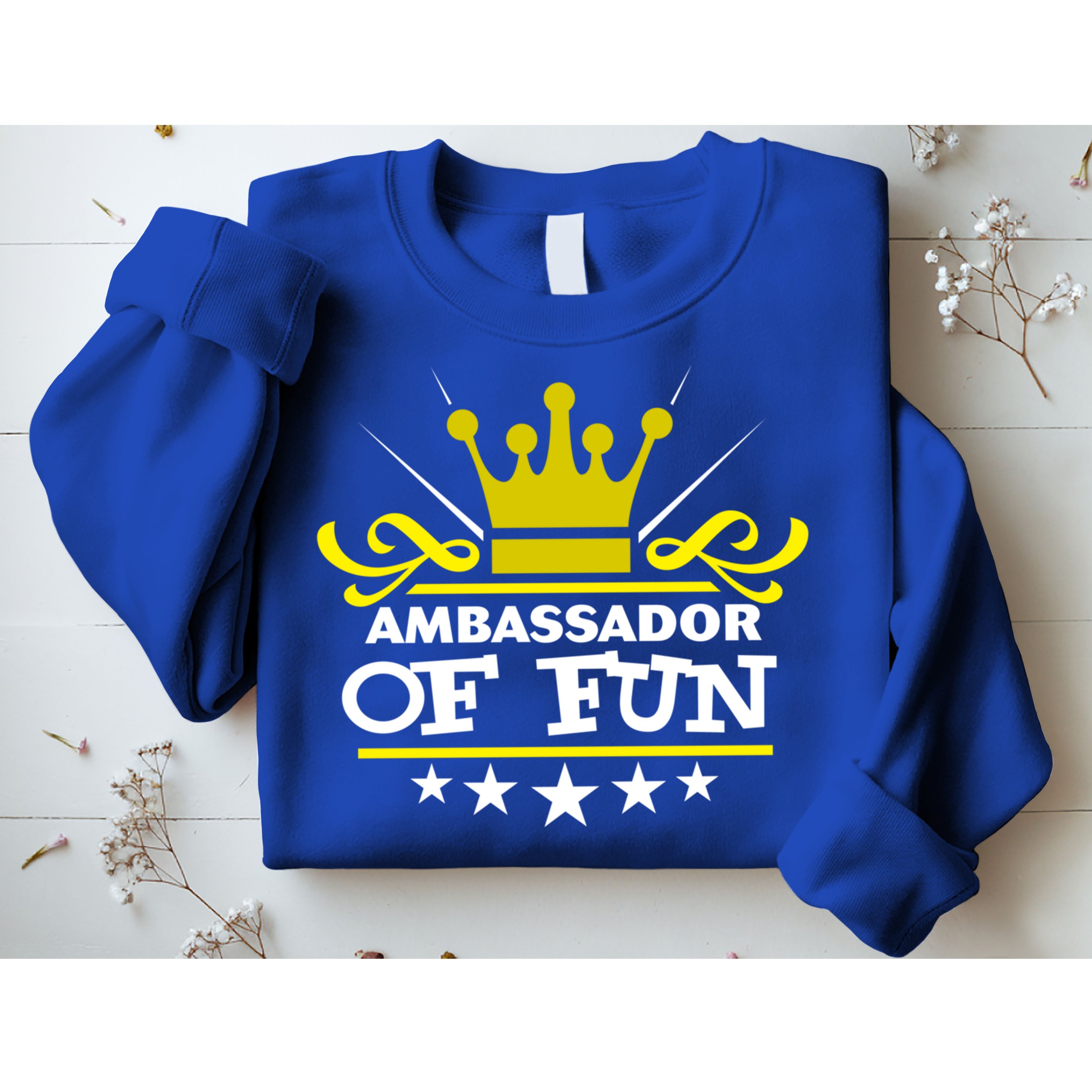 Ambassador Of Fun Funny Saying Costume Party Starter White Funny Gift Sweatshirt