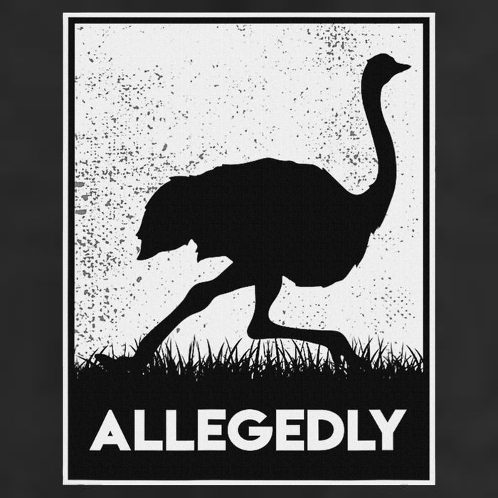 Allegedly Ostrich Funny Flightless Bird Cool Comfort Performance Bucket Hat