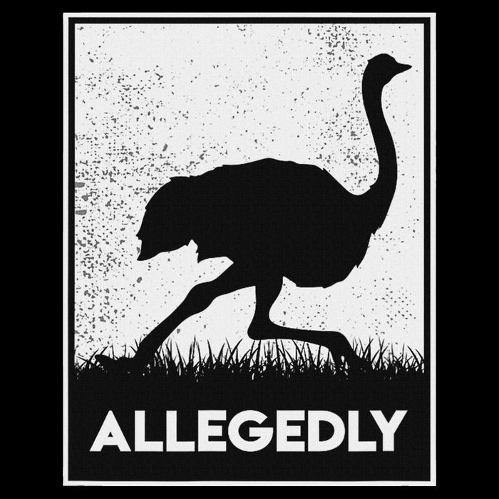 Allegedly Ostrich Funny Flightless Bird Drawstring Bag