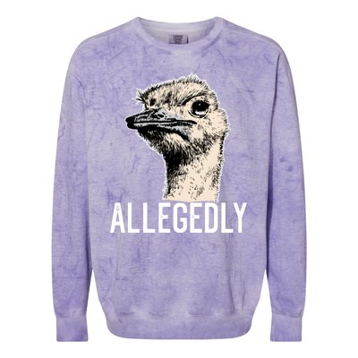 Allegedly Ostrich Funny Flightless Bird Face Design Colorblast Crewneck Sweatshirt