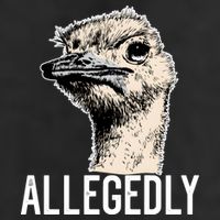 Allegedly Ostrich Funny Flightless Bird Face Design 7 Panel Mesh Trucker Snapback Hat