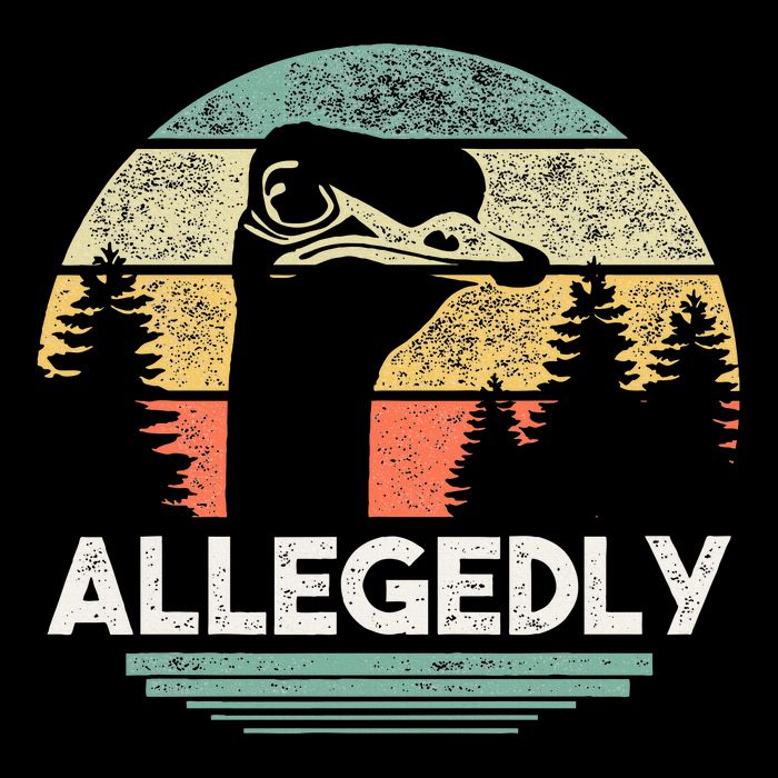 Allegedly Ostrich Funny Bird Lover Premium T-Shirt